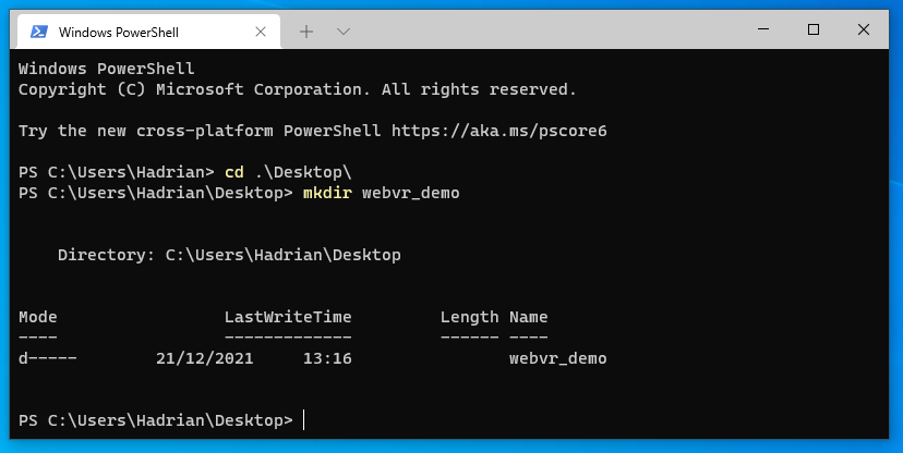 Screenshot of terminal in Windows